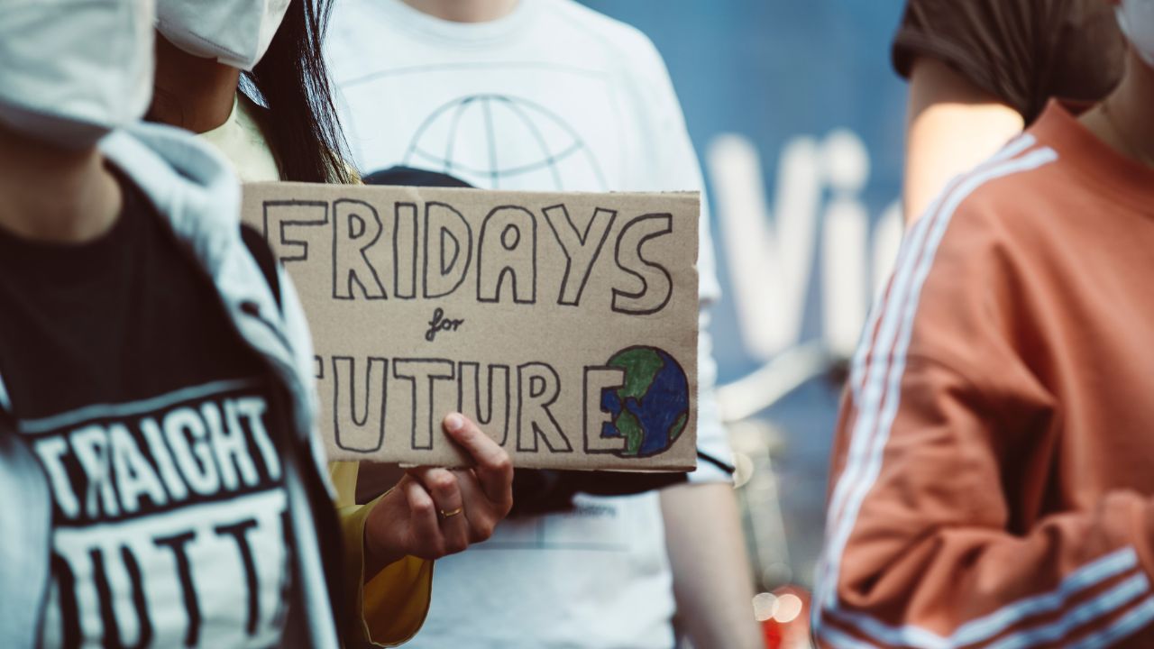 Fridays for future, der Umweltaktivist
